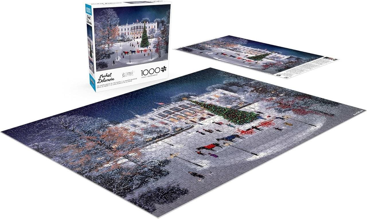 The White House in the Snow