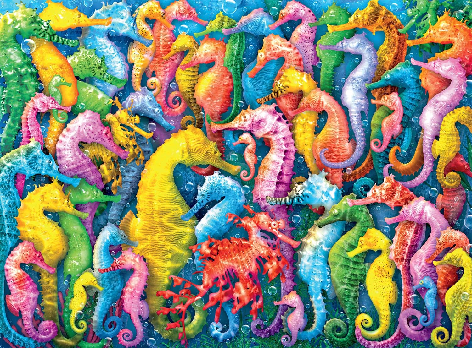 Seahorse Fantasy - Scratch and Dent Sea Life