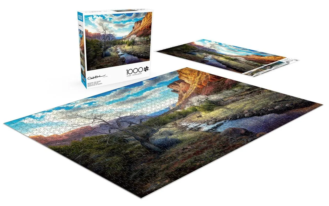 Chuck Black: Beneath the Glory