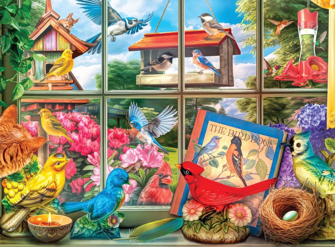 Birdwatching Fun Birds