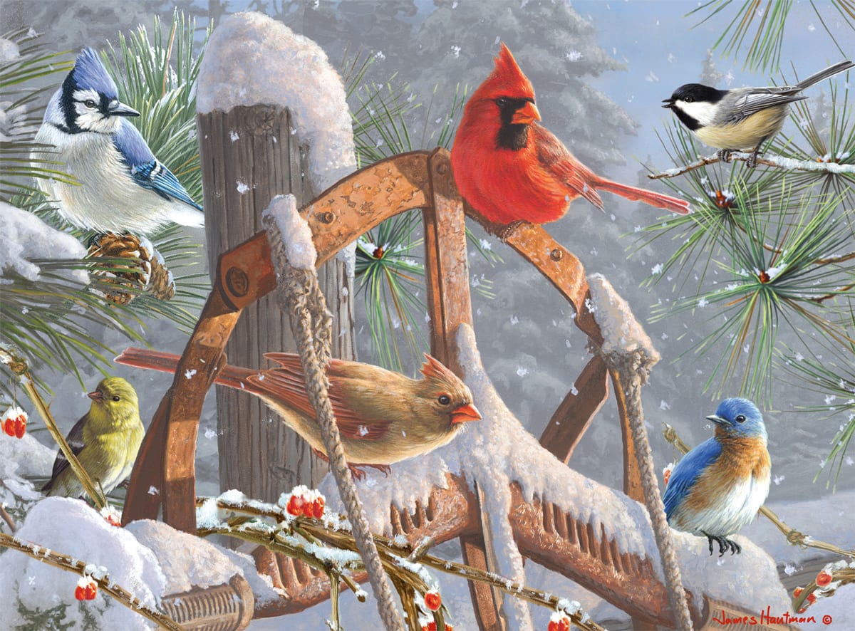 Fresh Snowfall - Scratch and Dent Birds
