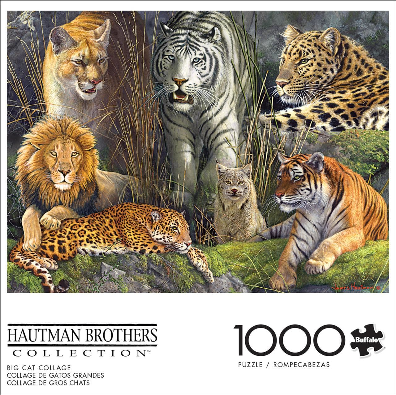 Big Cat Collage - Scratch and Dent