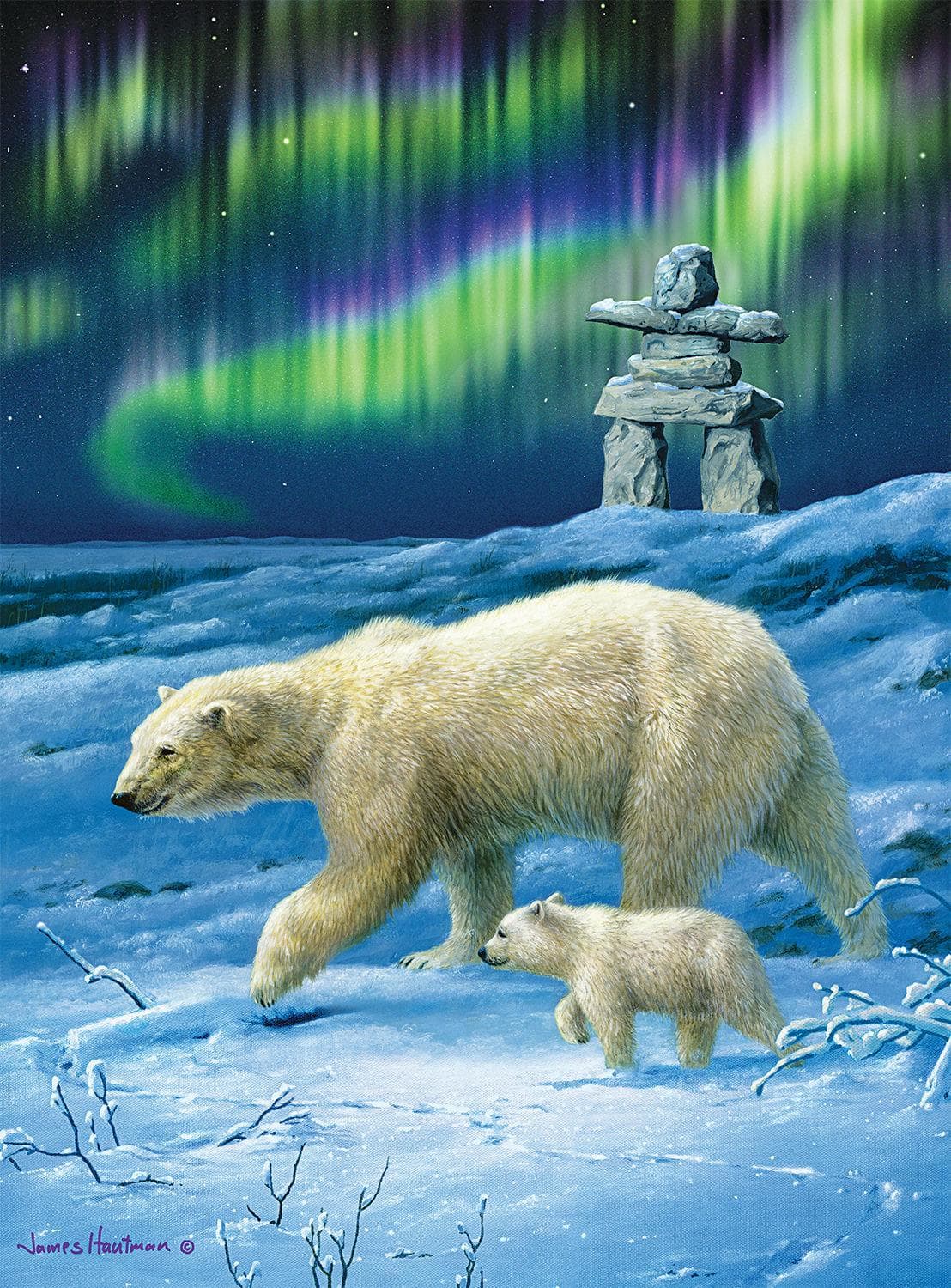Northern Lights Bears Bear