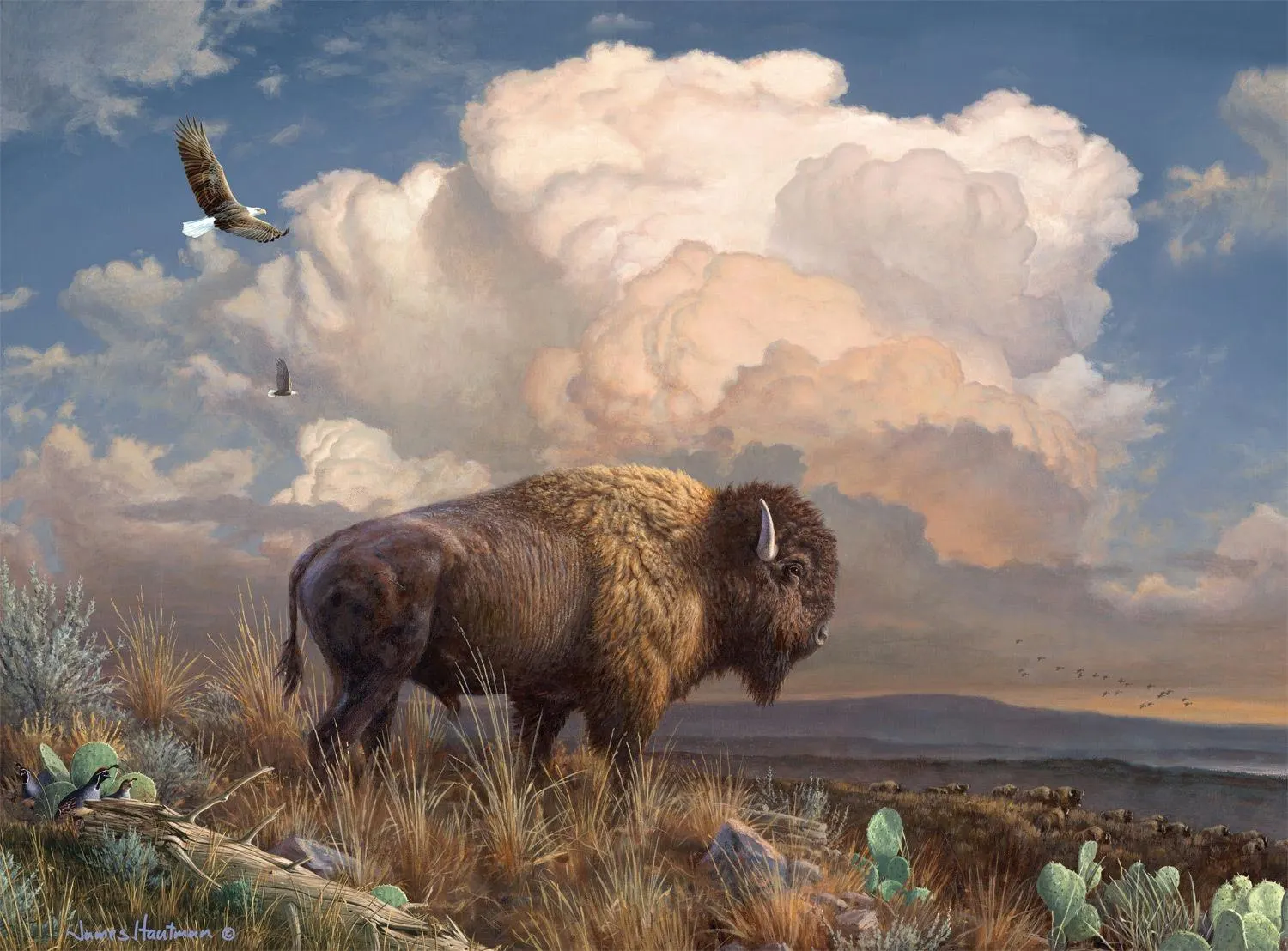 Hautman: Majestic Bison Animals