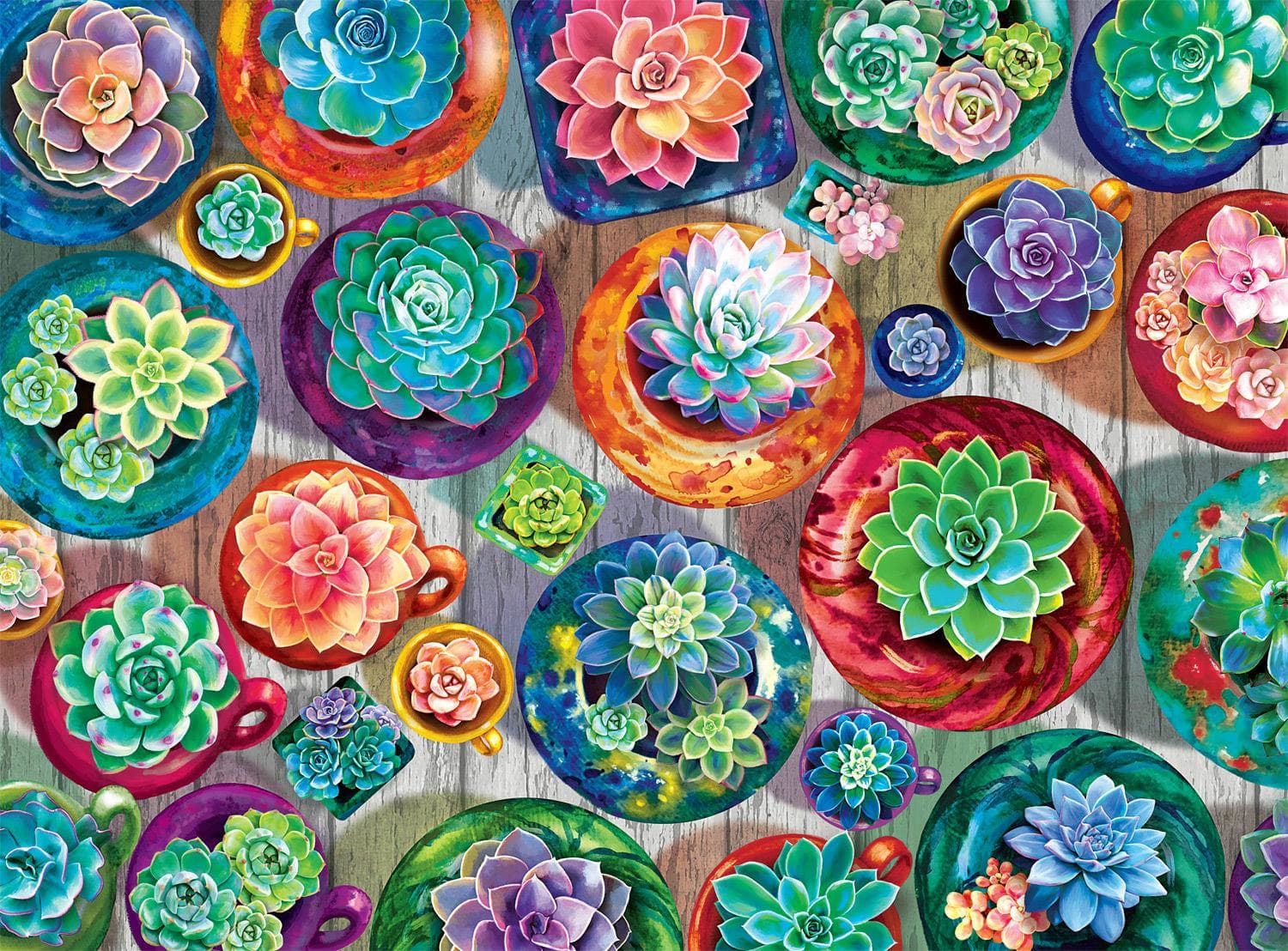 Succulent Selection - Scratch and Dent Flower & Garden