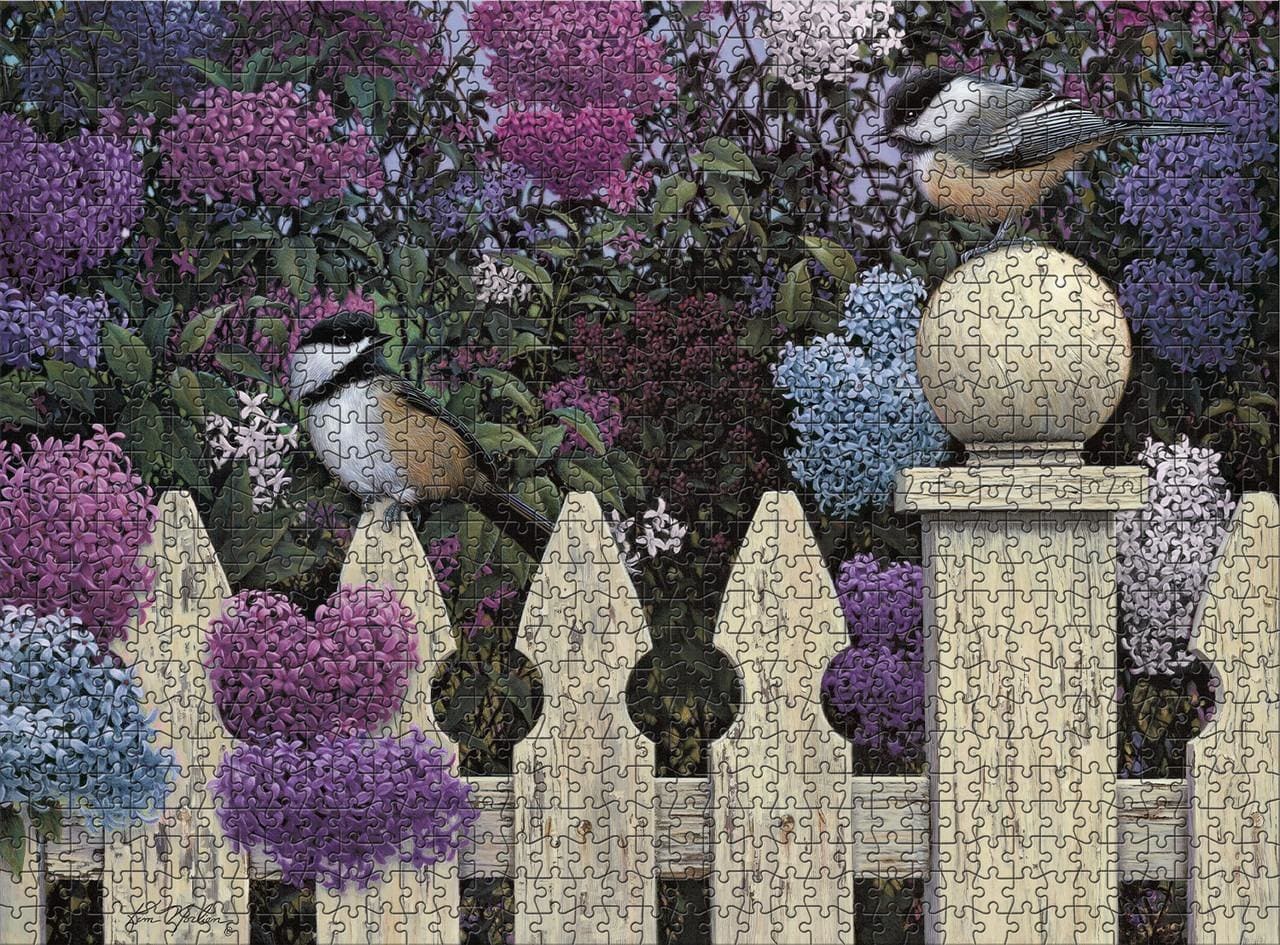 Kim Norlien: Love Song