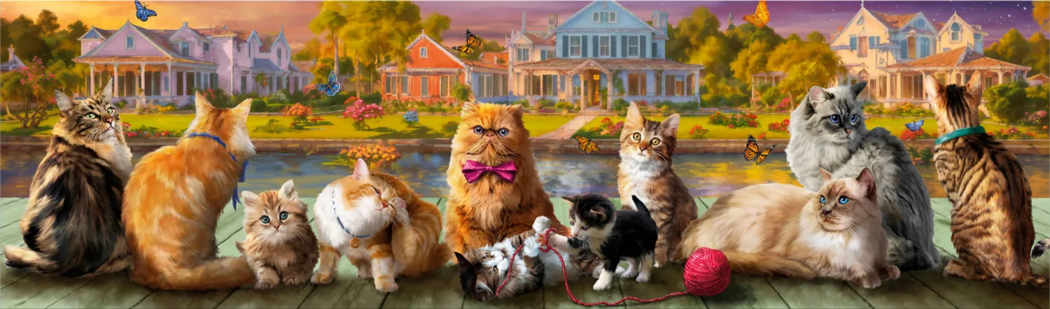 Cats Panoramic