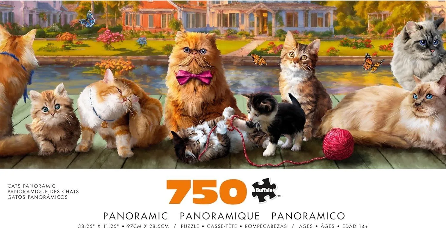Cats Panoramic Cats
