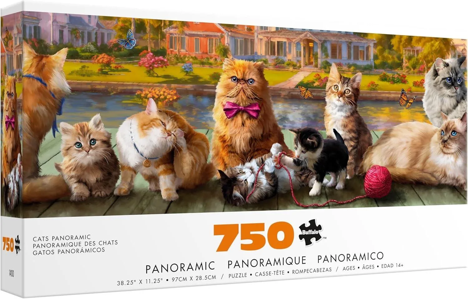 Cats Panoramic