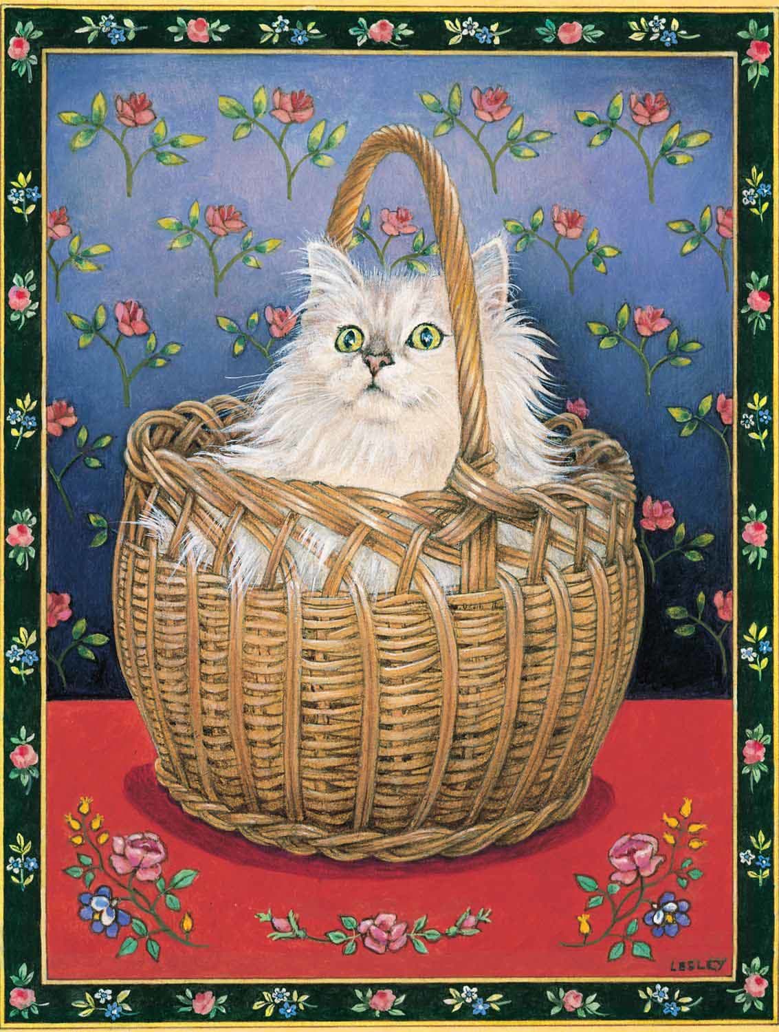 Bengy in a Basket - Scratch and Dent Cats