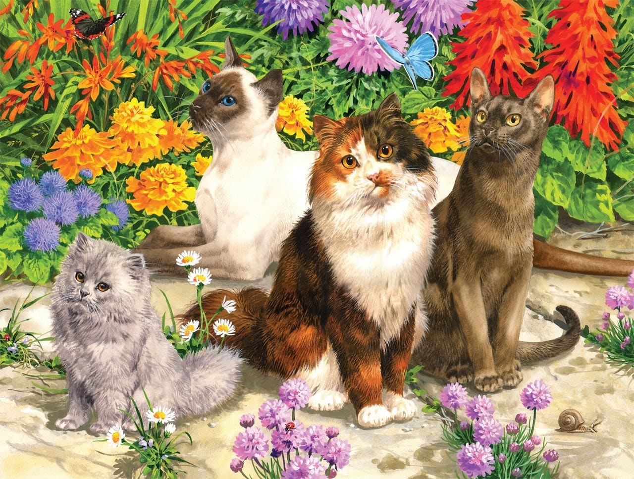 Cats: Cat Flora Cats