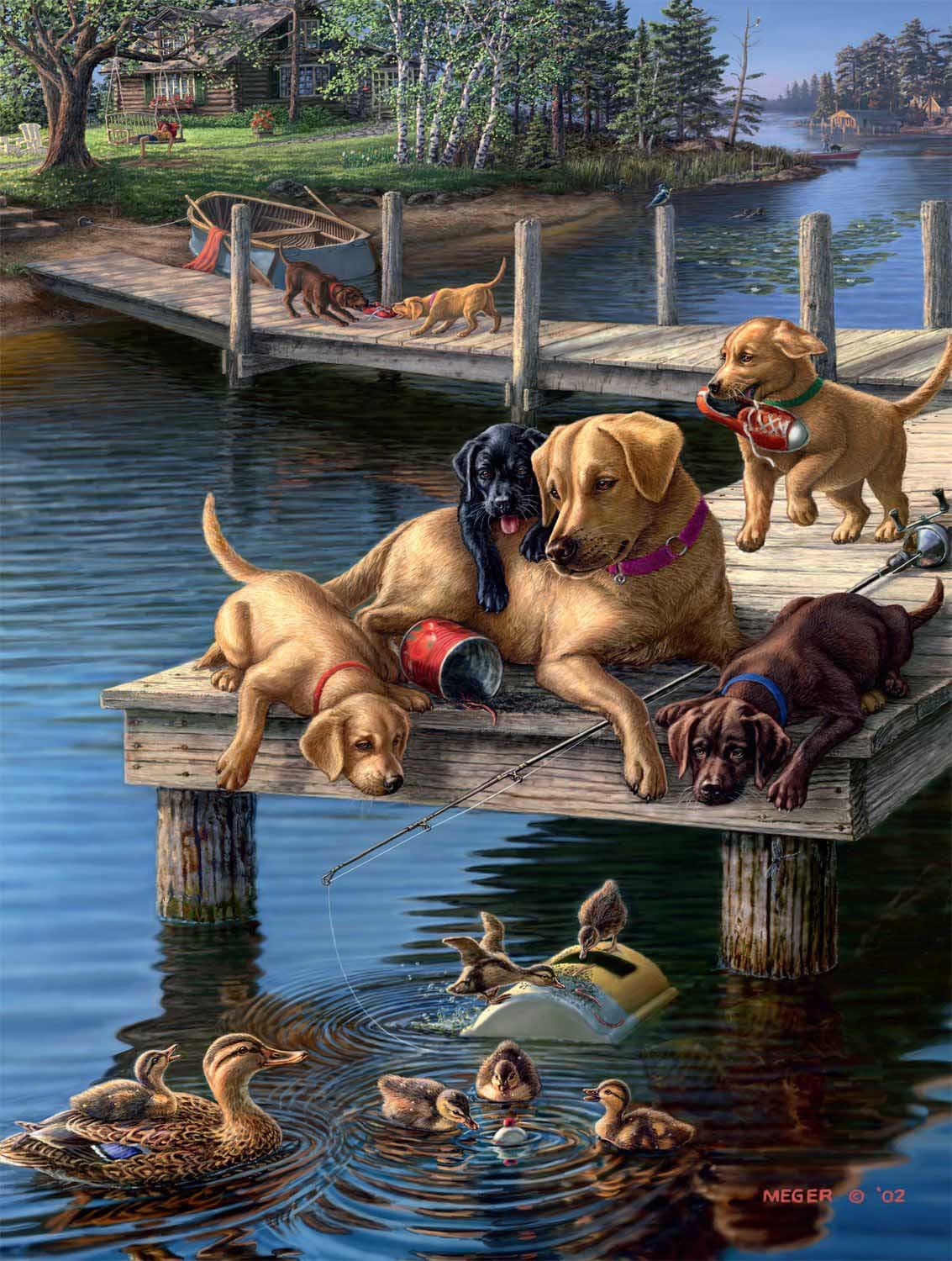 Dog Days: Summer School Dogs