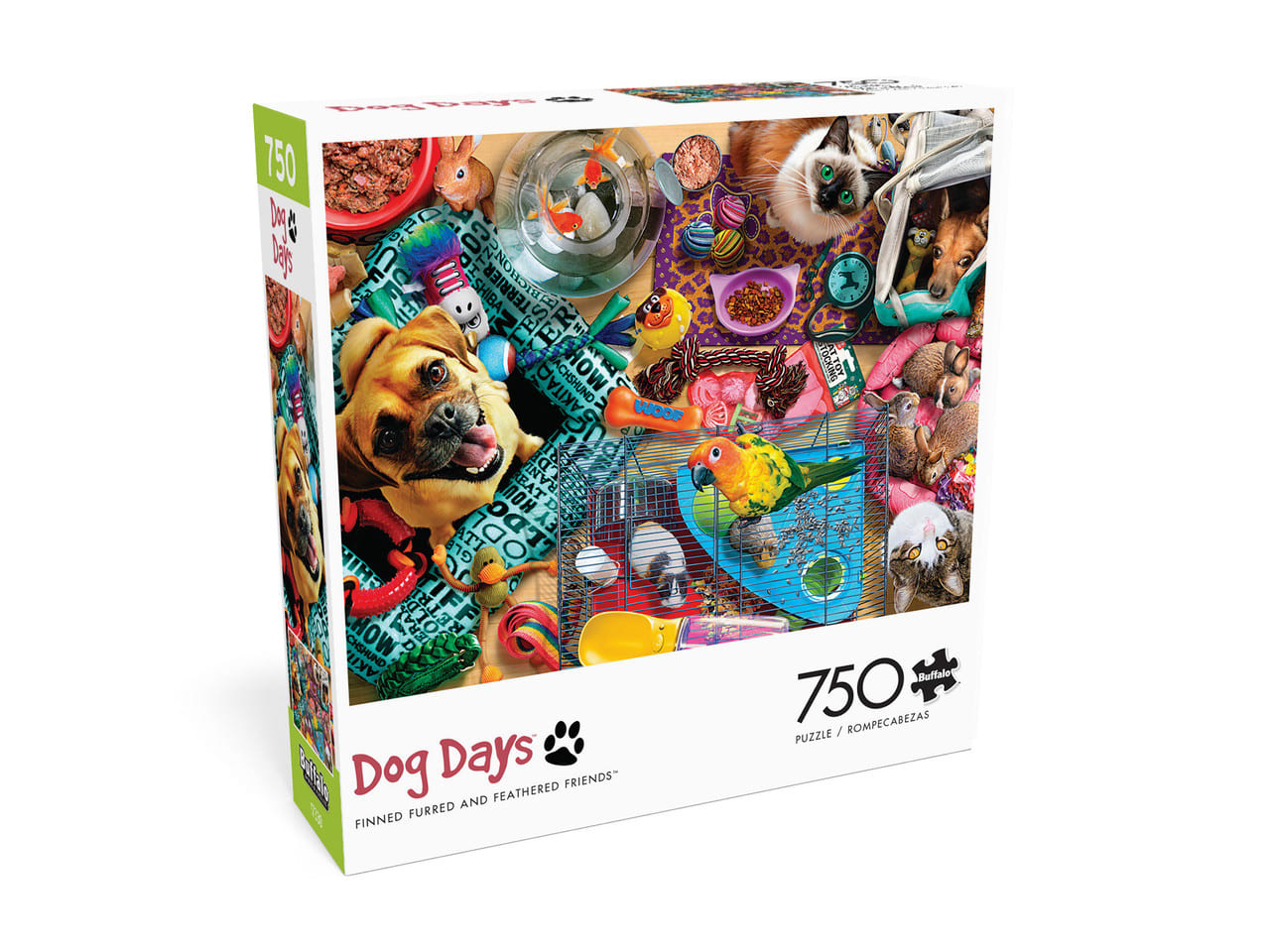 Finned, Furred, and Feathered Friends