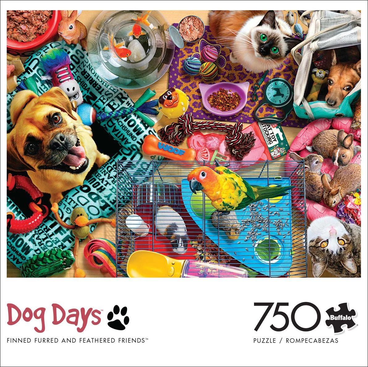 Finned, Furred, and Feathered Friends