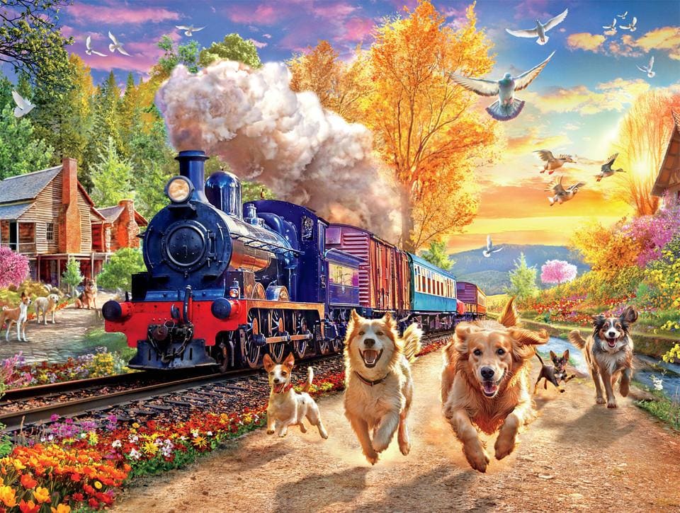 Racing the Train - Scratch and Dent Dogs