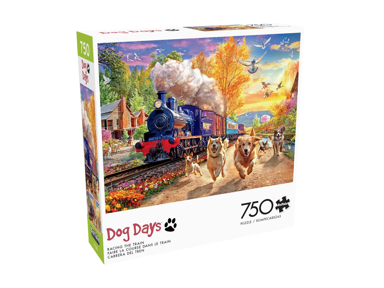 Racing the Train - Scratch and Dent