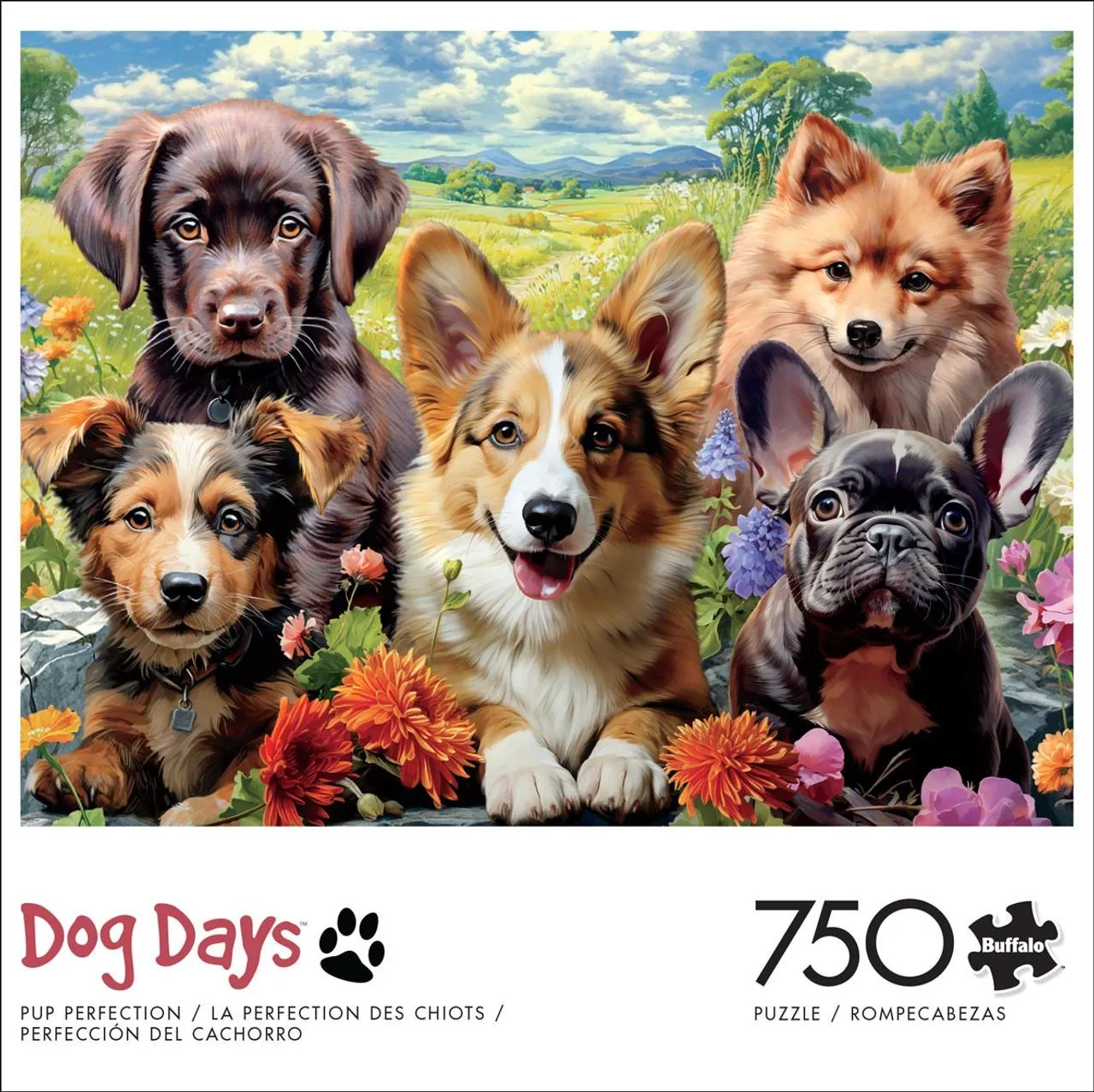 Dog Days: Pup Perfection