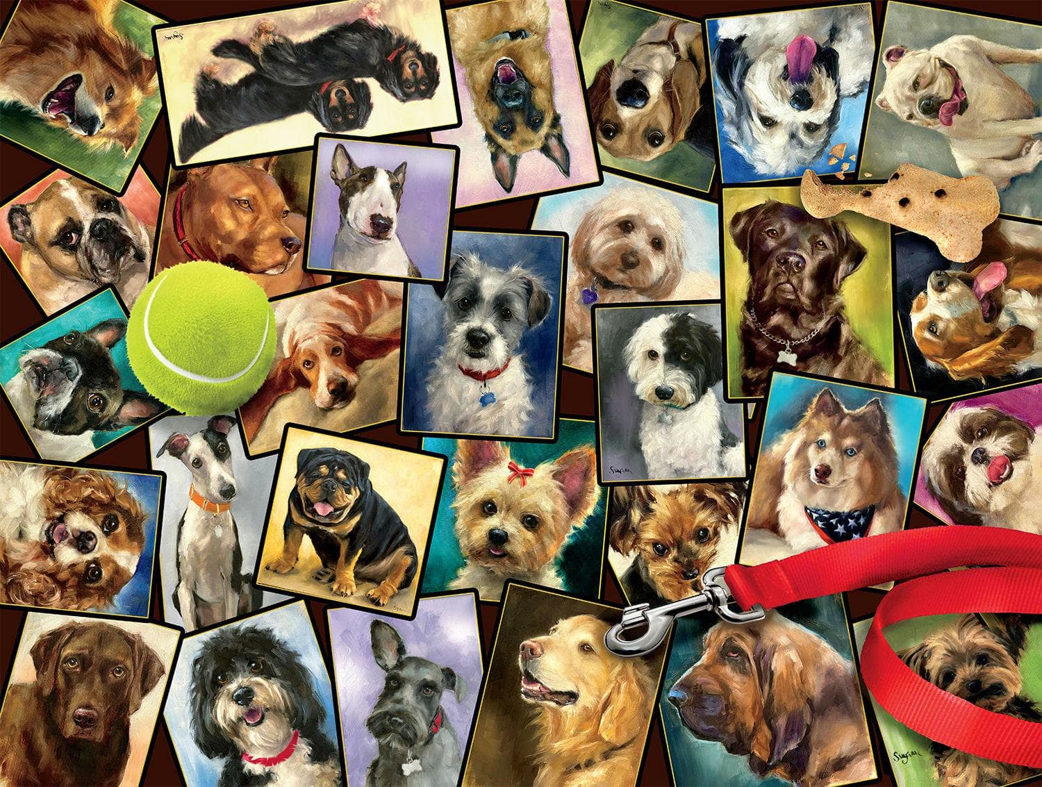 Dog Days: The Best of Friends Dogs