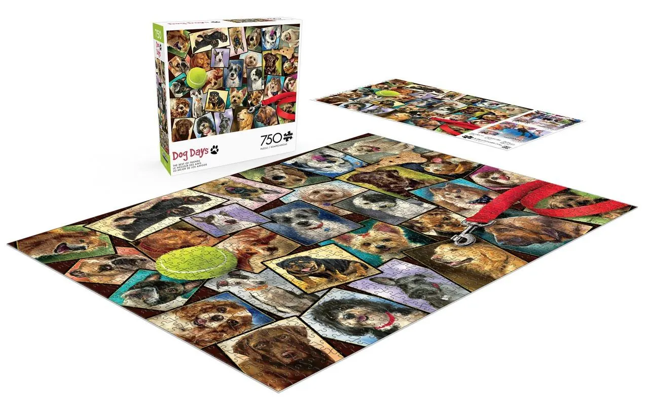 Dog Days: The Best of Friends