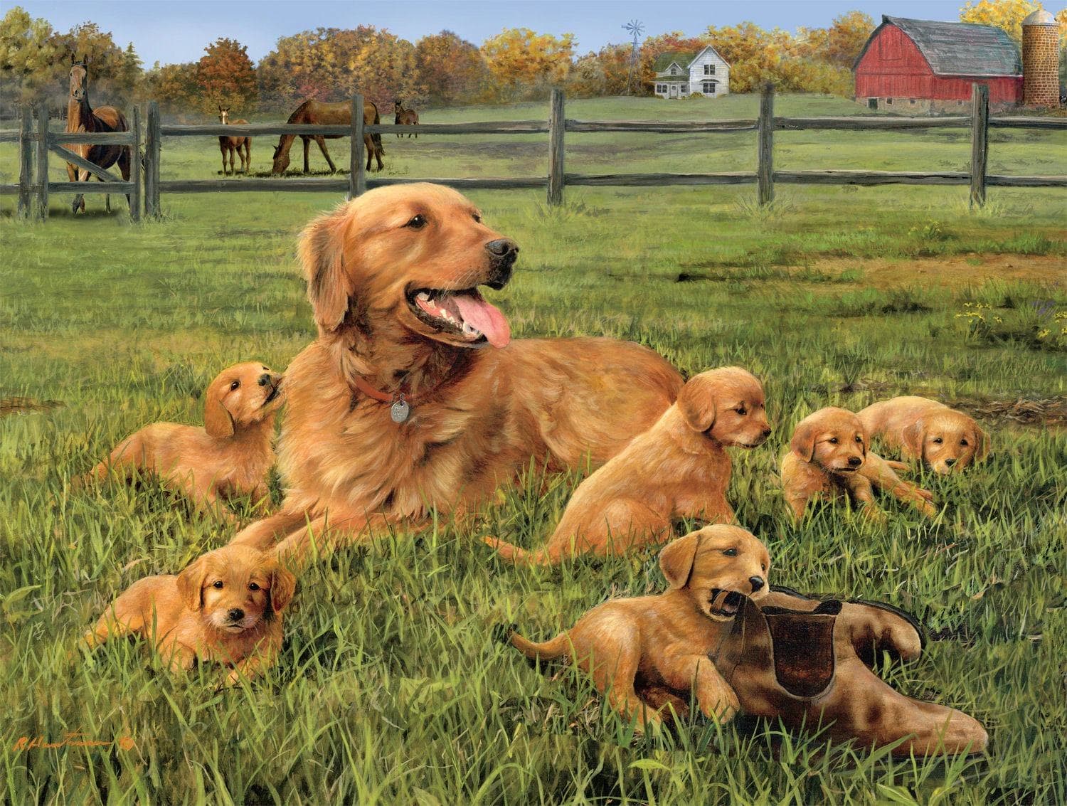 Glorious Goldens Dogs
