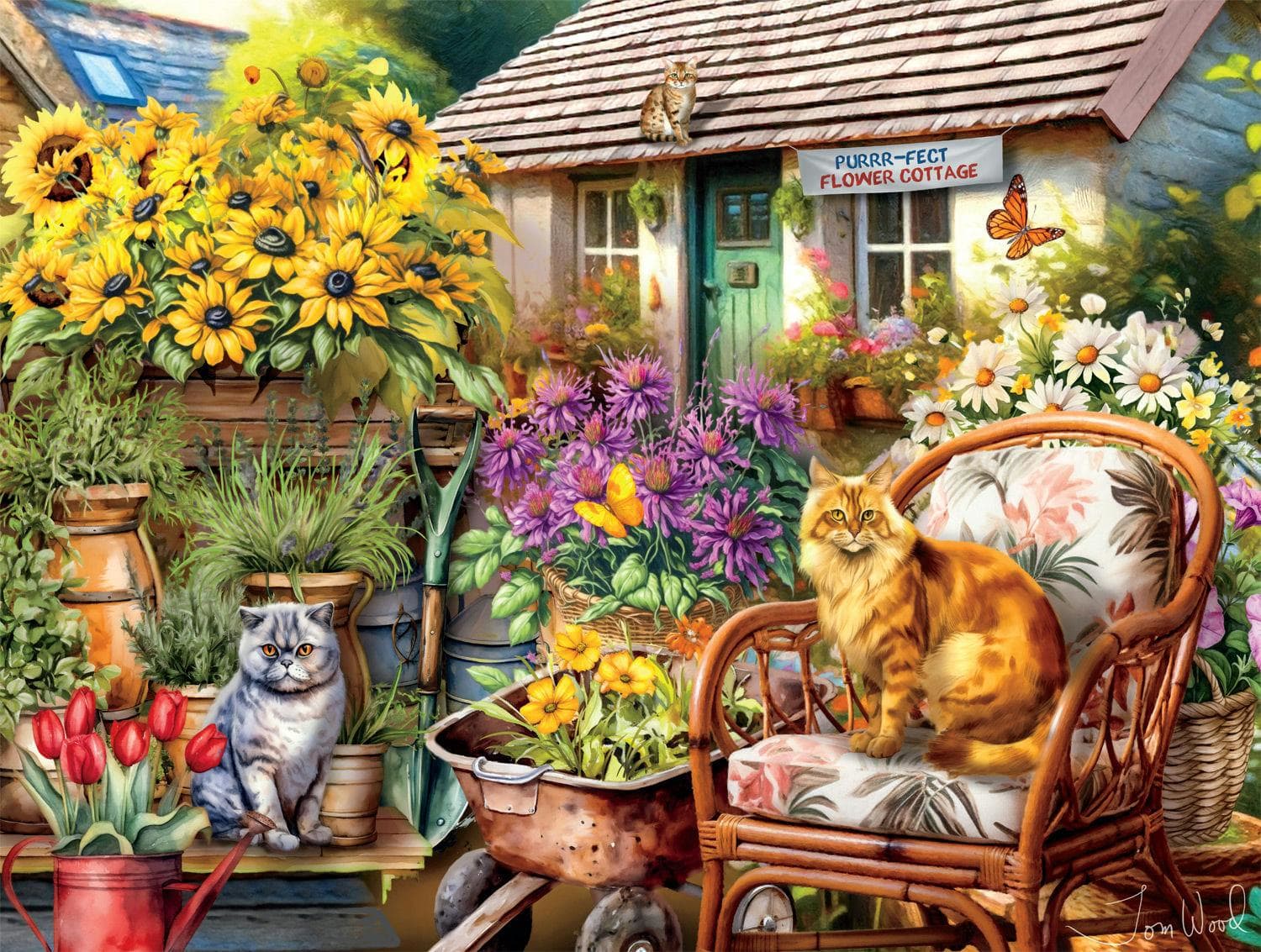 Cats: Country Cats Cats