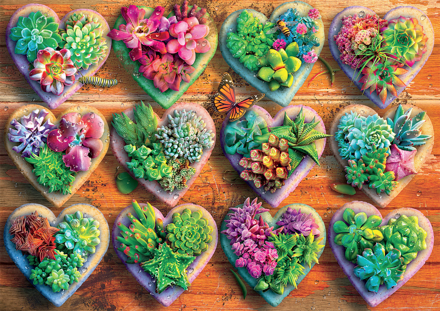 Heart Succulents Butterflies and Insects
