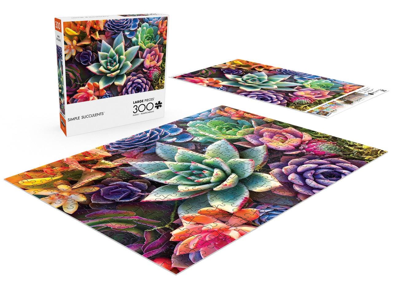 Simple Succulents - Scratch and Dent