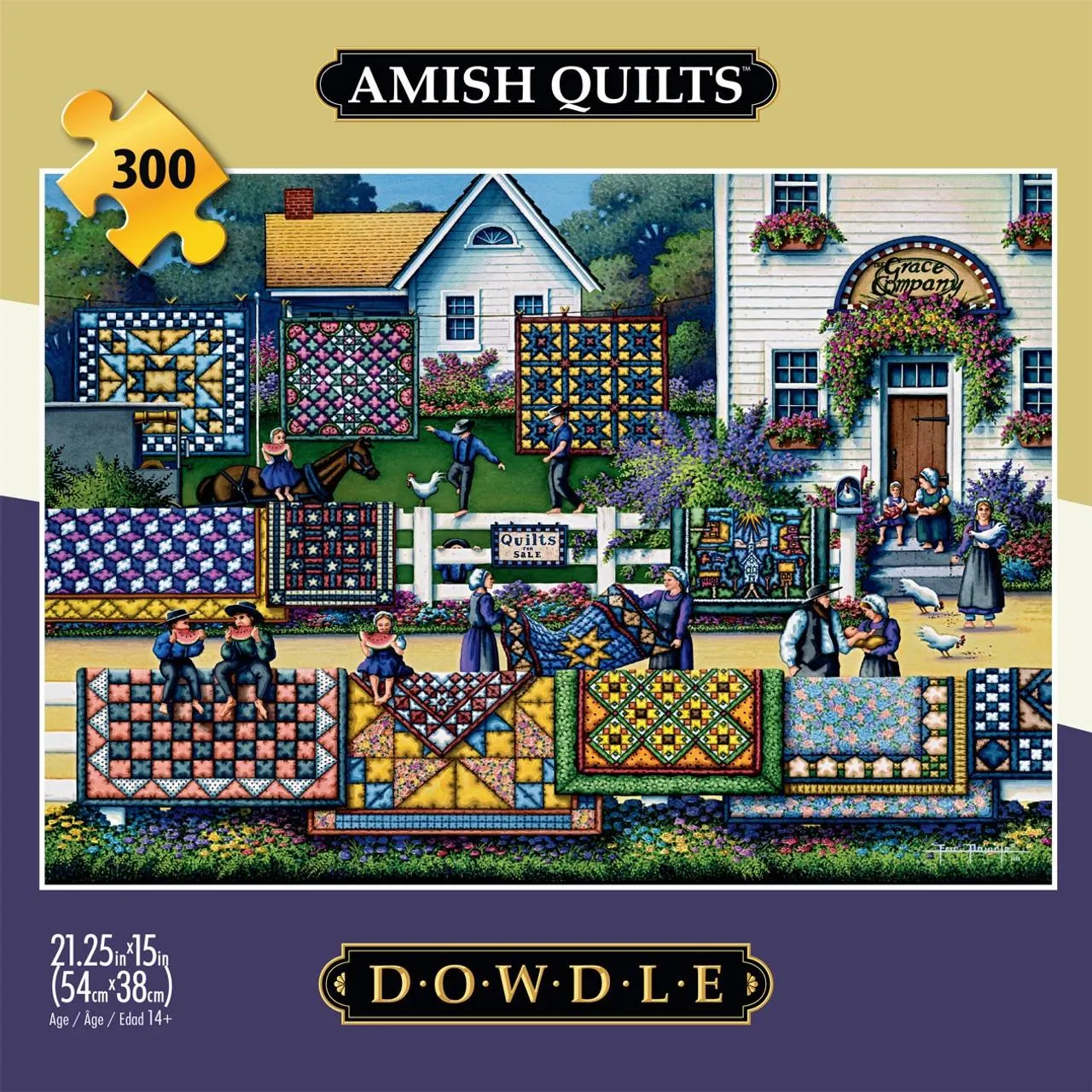 Amish Quilts (Dowdle) Americana