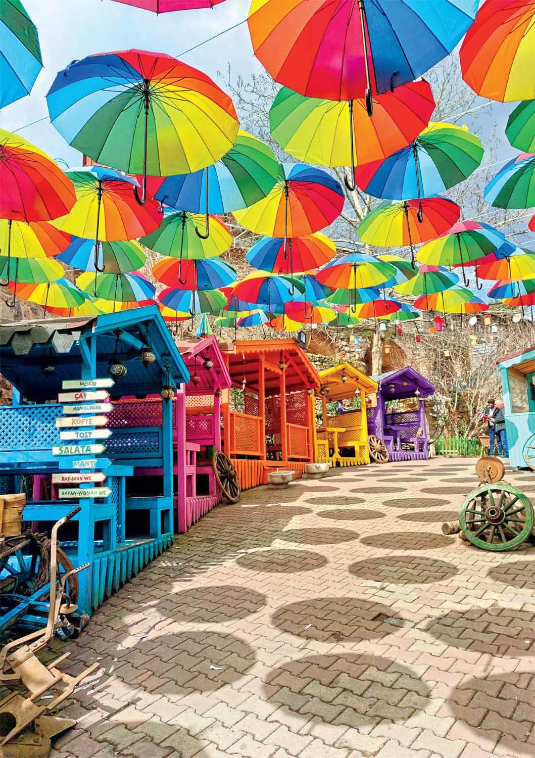 Umbrella Spectrum Photography