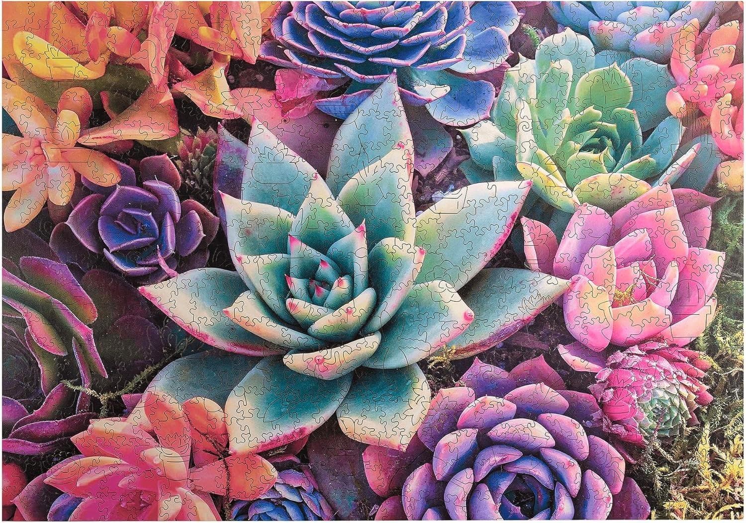 Wood Puzzle: Simple Succulent &ndash; Whimsy Pieces