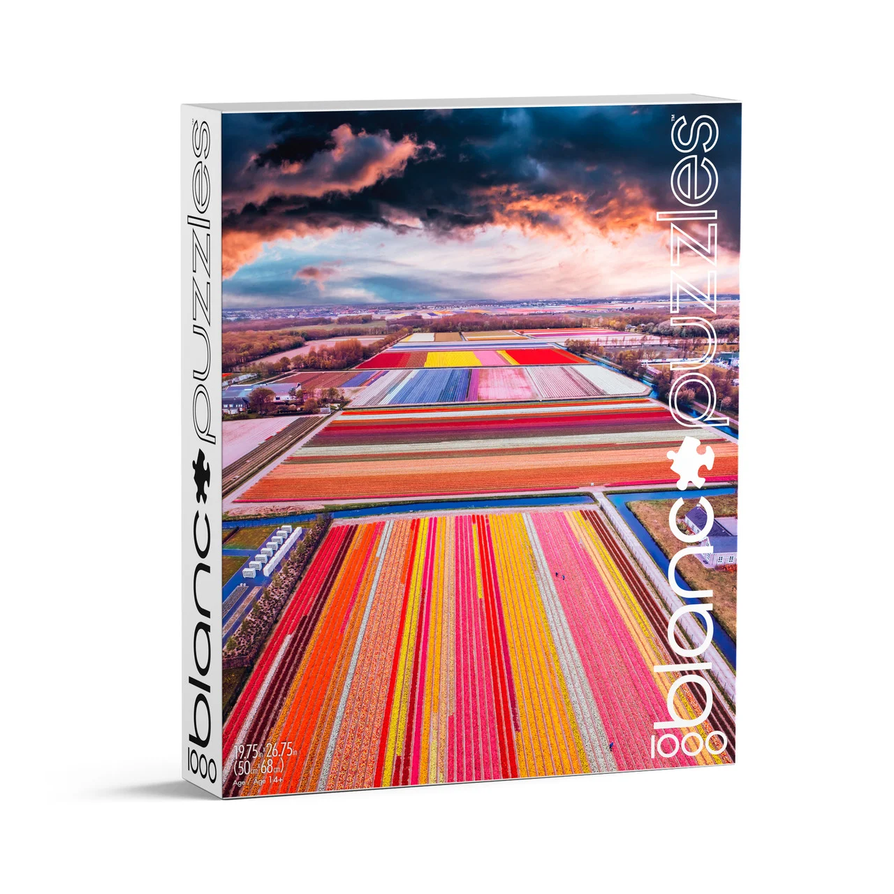 BLANC: Infinity Fields of the Netherlands