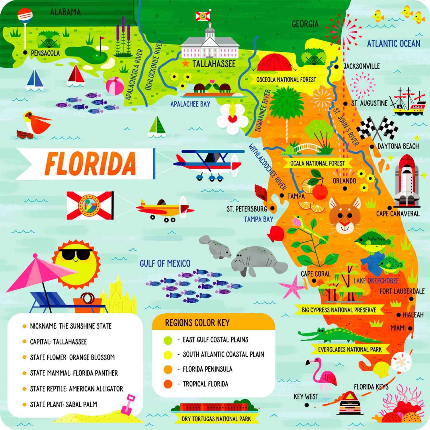 State Puzzle: Florida Maps & Geography