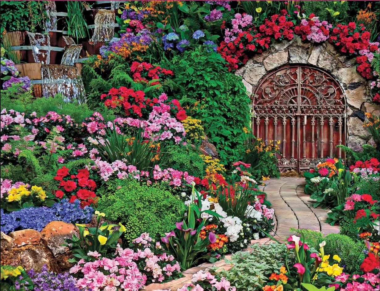 Wine Cellar - Scratch and Dent Flower & Garden