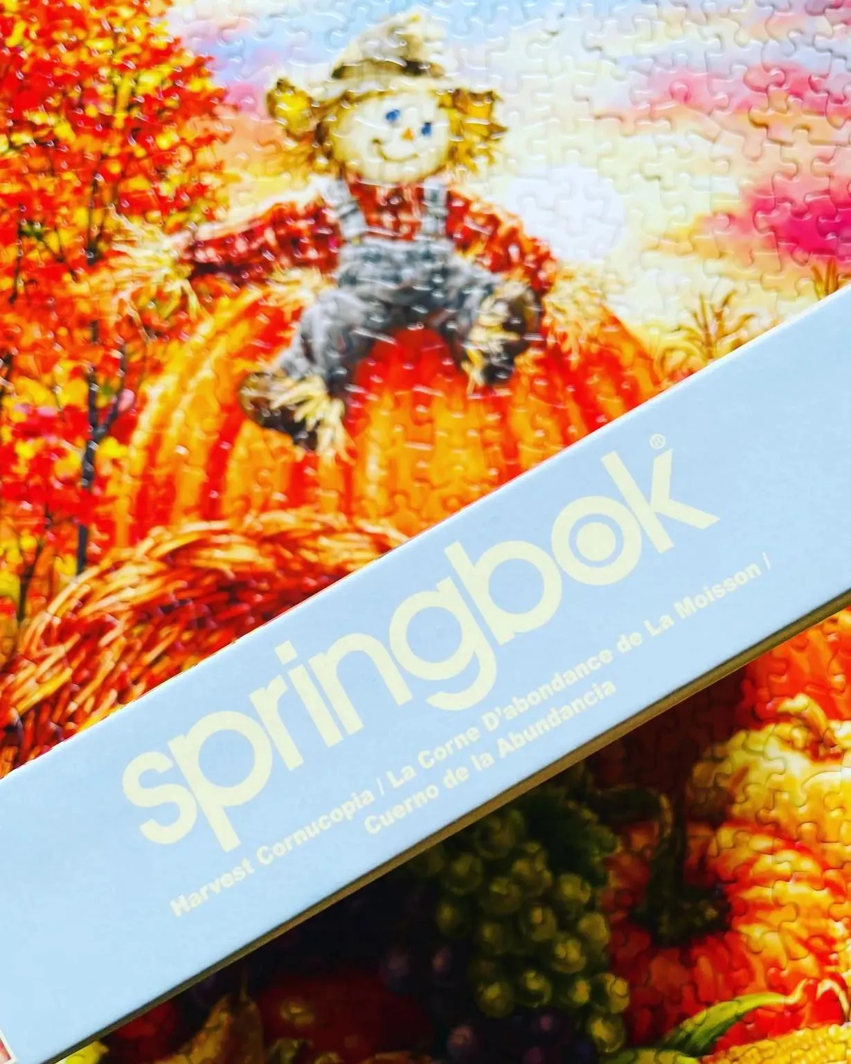 Harvest Cornucopia - Scratch and Dent