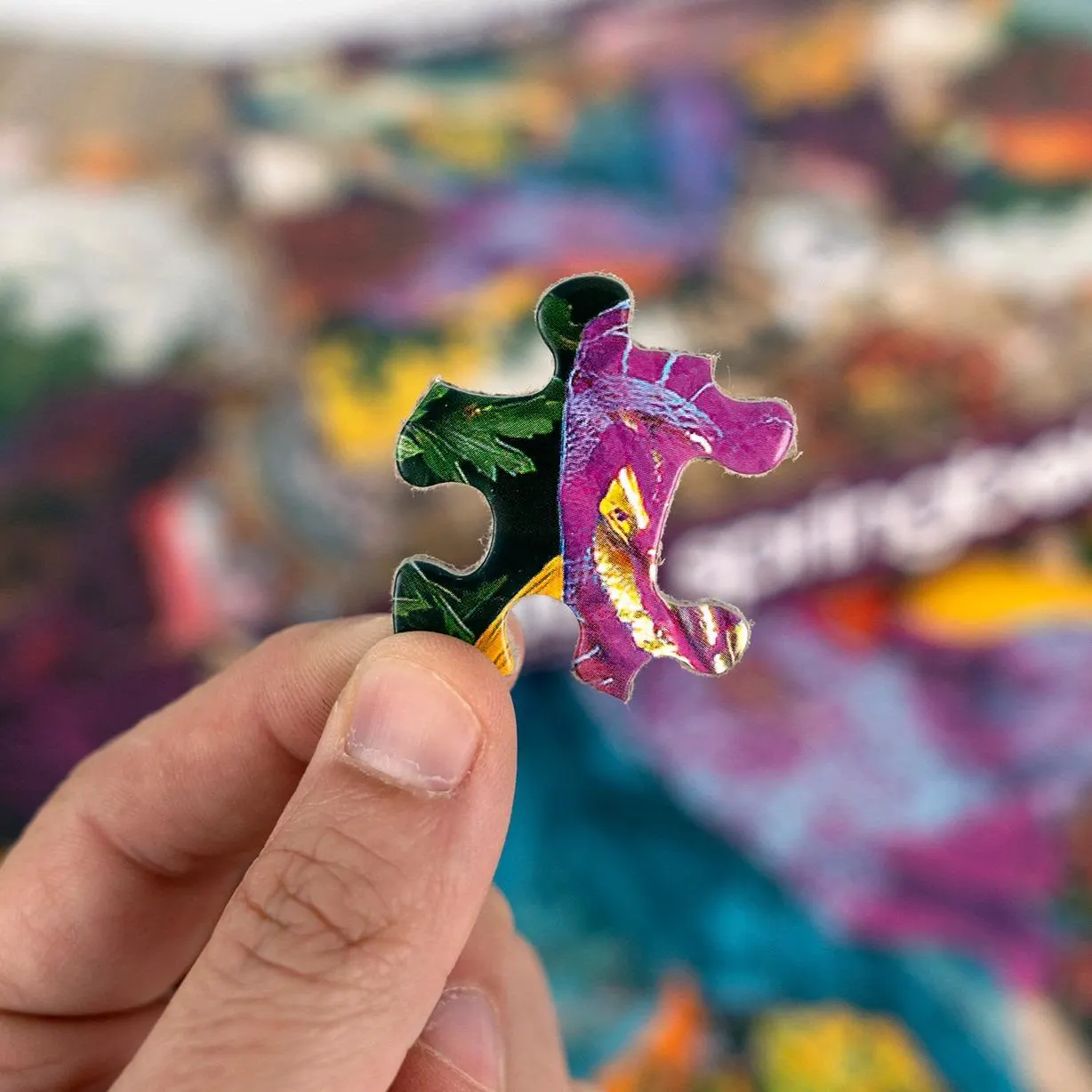 Cleopatra Limited Release