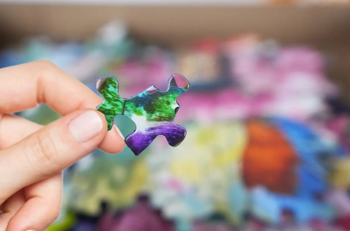 Birds Of Spring 500Pc