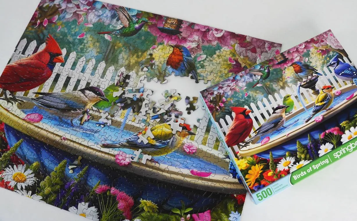 Birds Of Spring 500Pc