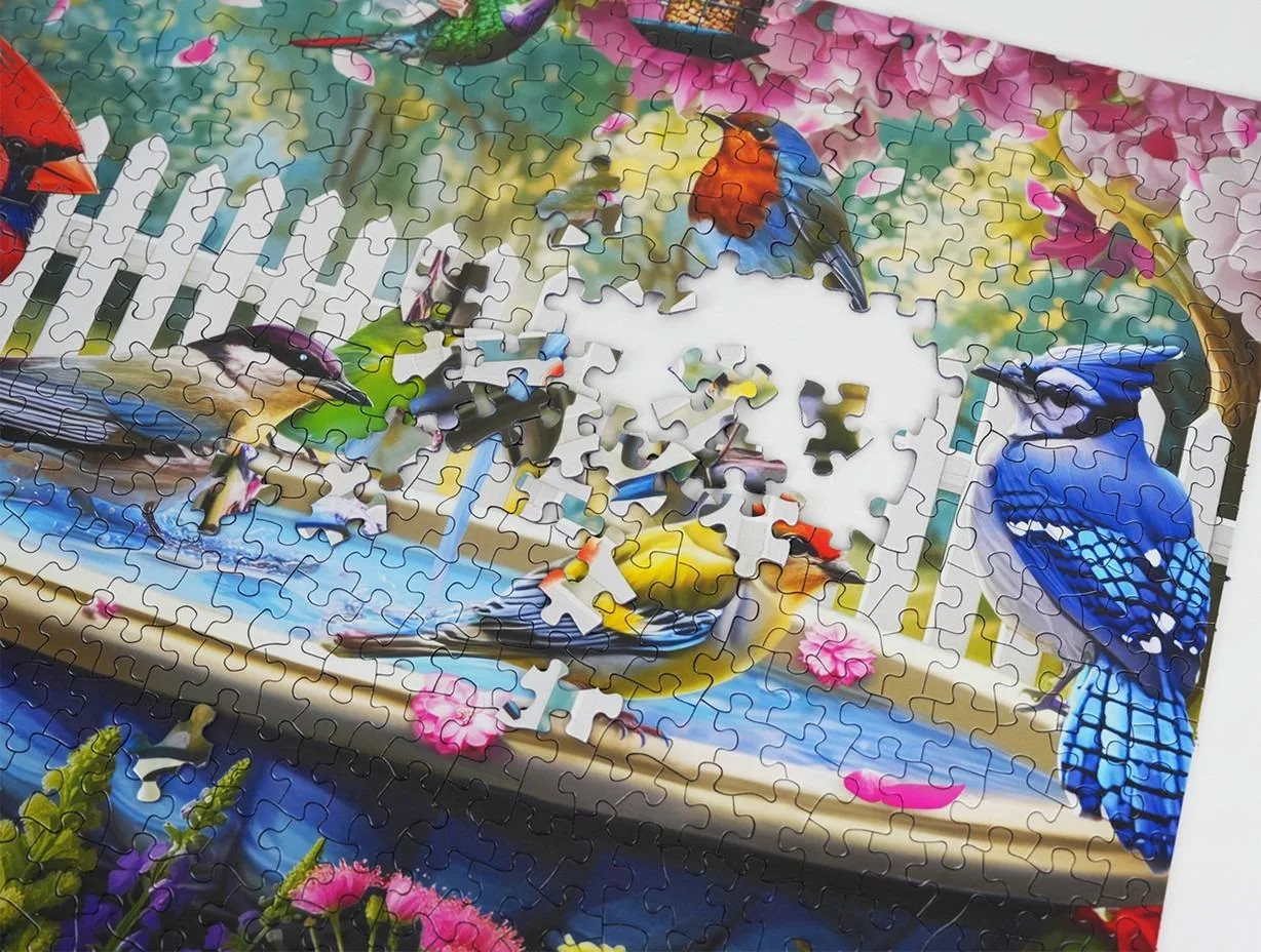 Birds Of Spring 500Pc