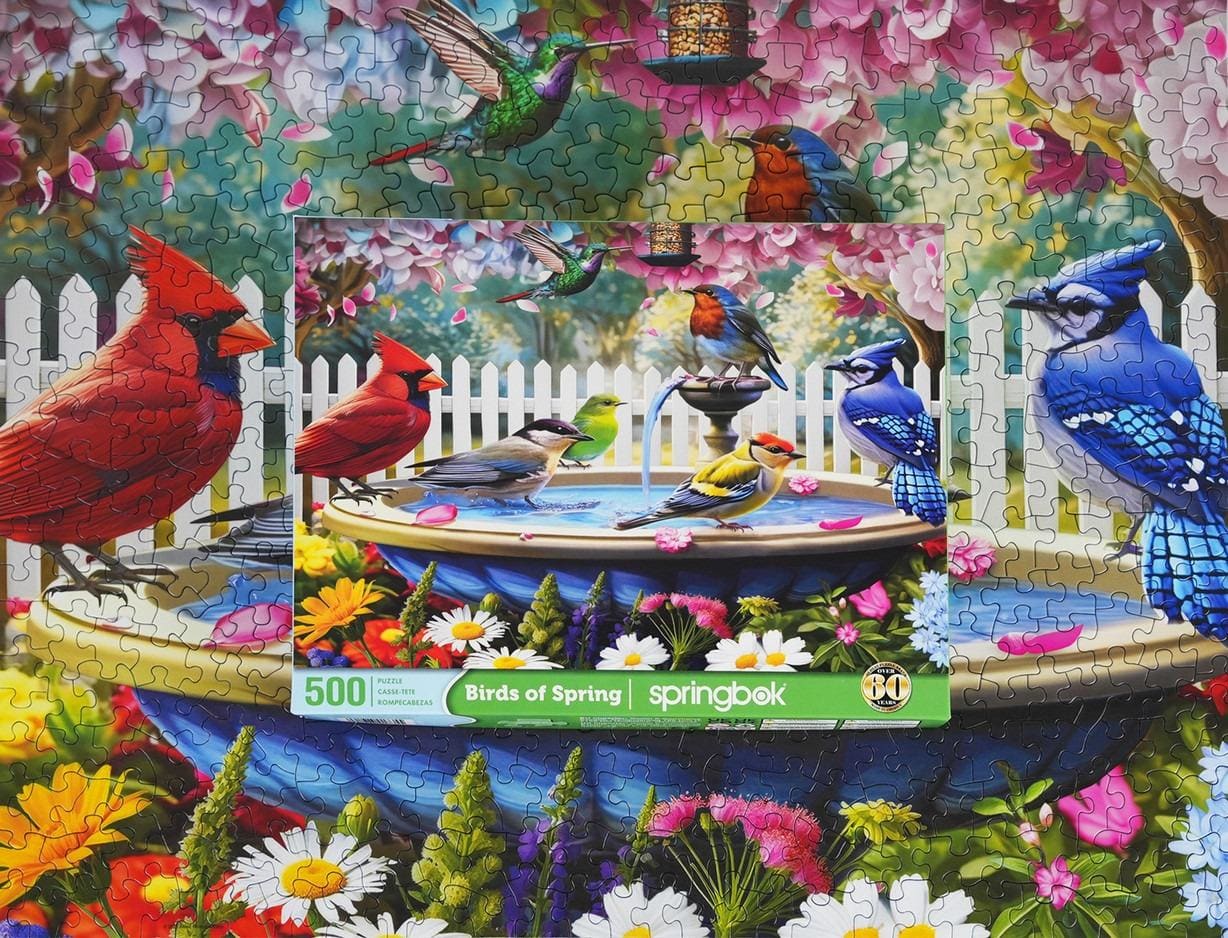 Birds Of Spring 500Pc