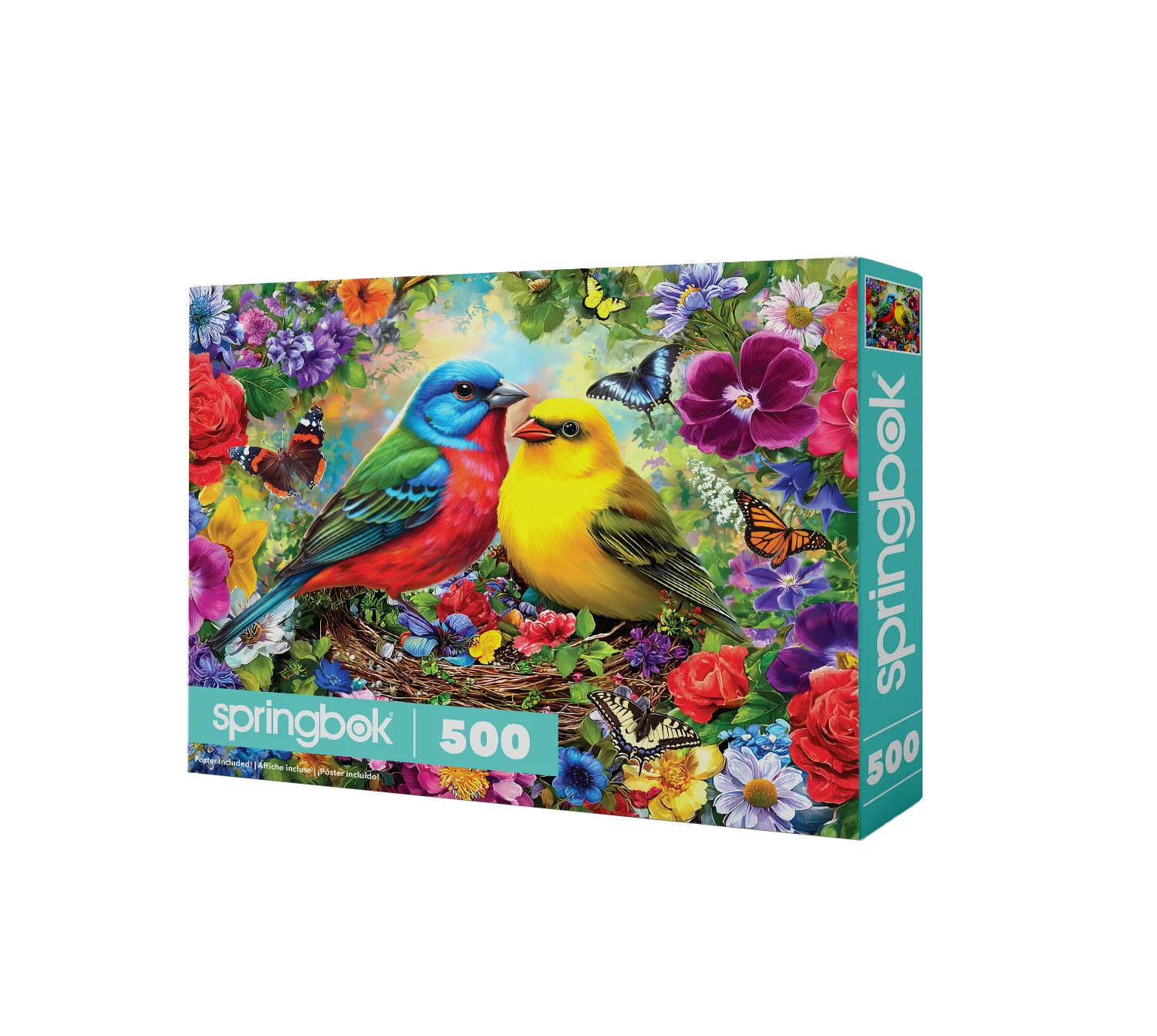 Spring Birds Serenade Birds