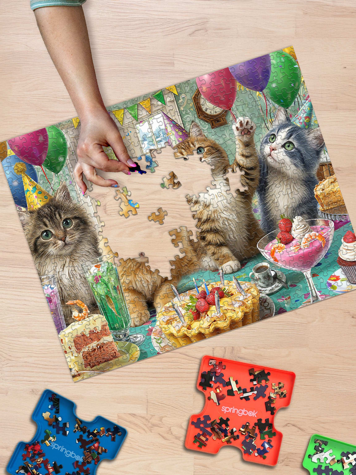 Cat Birthday Party
