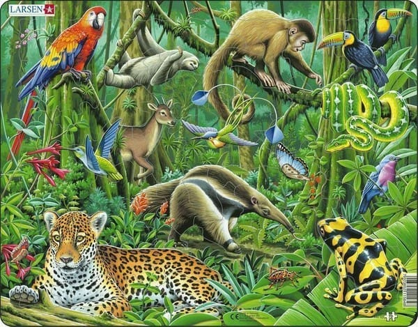 South American Rainforest 70 Piece Children's Jigsaw Puzzle