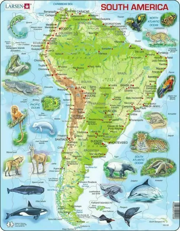 South American Map with Animals 65 Piece Children's Puzzle