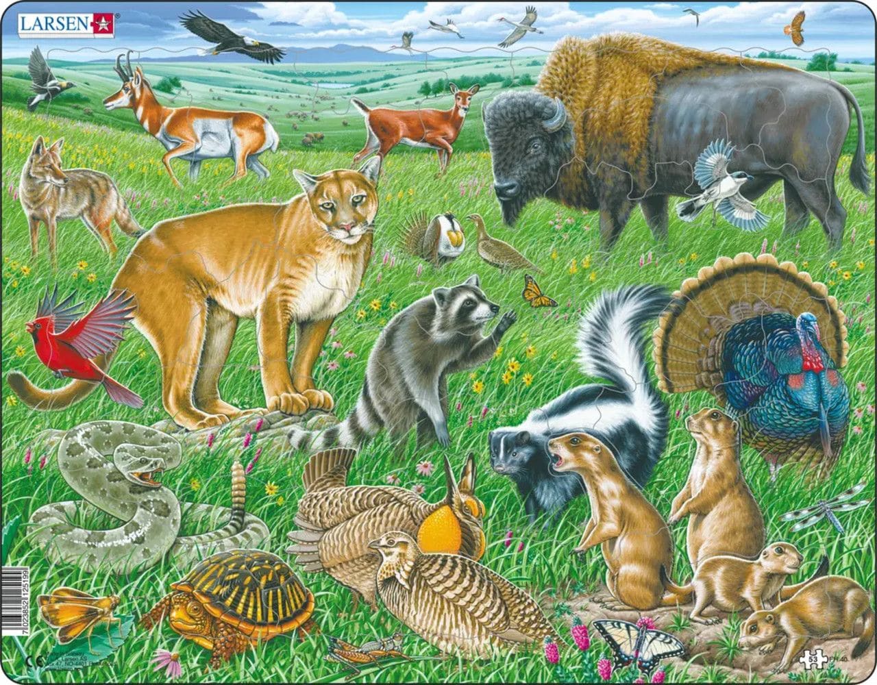 American Prairie 53 Piece Children's Jigsaw Puzzle