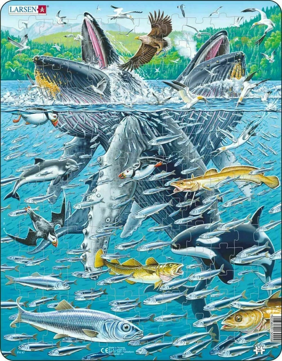 Humpback Whales 140 Piece Children's Jigsaw Puzzle