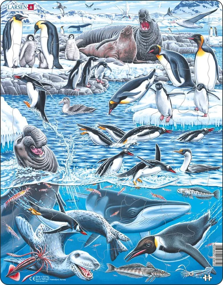 Beautiful Antarctica 66 Piece Children's Educational Jigsaw Puzzle