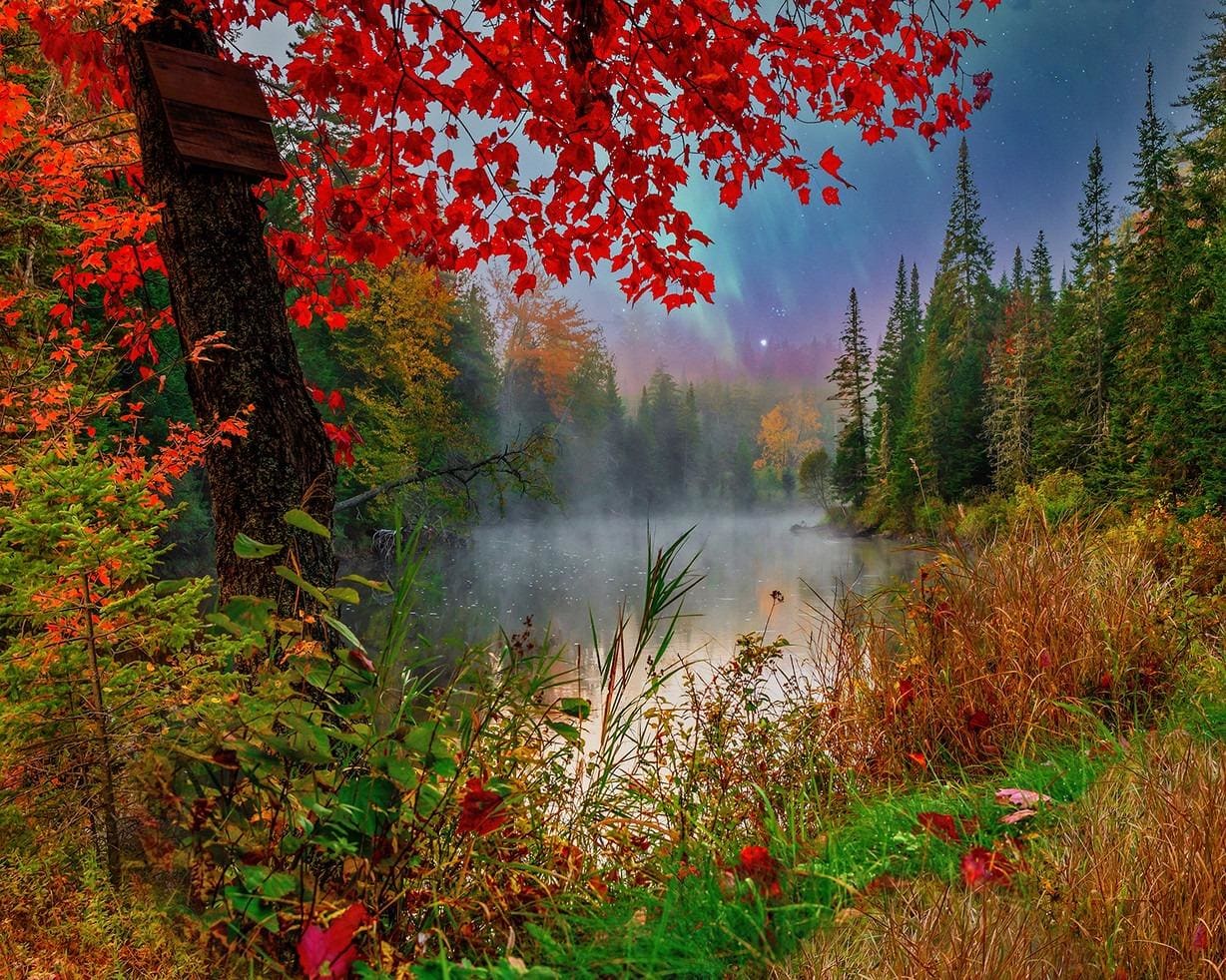 Early Dawn On The Lake Lakes & Rivers