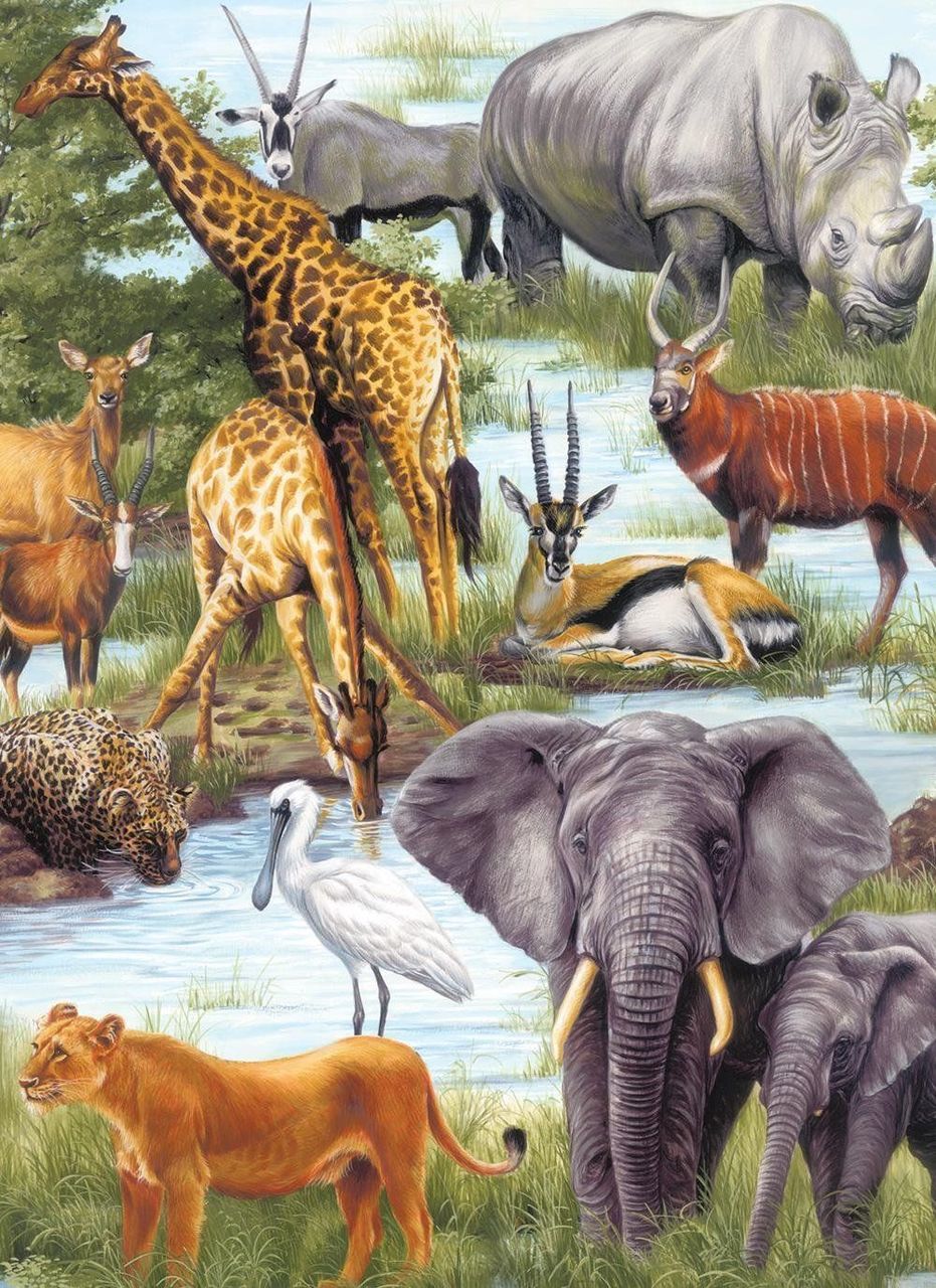 Animal Kingdom Safari Animals Jigsaw Puzzle