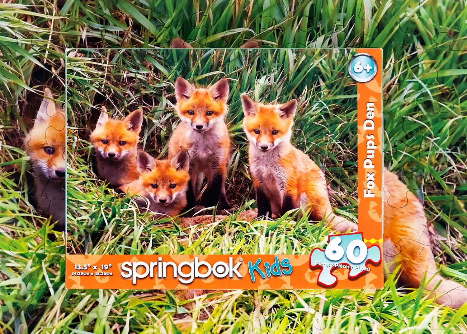 Fox Pups Den