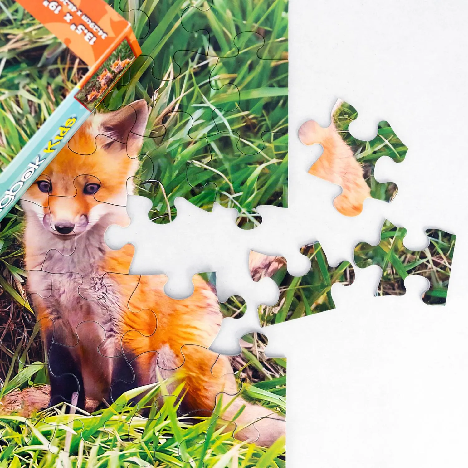 Fox Pups Den